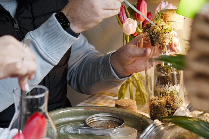 Terrarium Making Experience in Cirencester - Photo 1 of 9